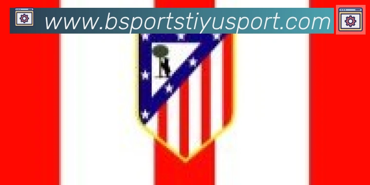 Bsports官网合作伙伴