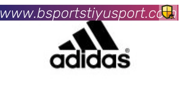 Bsports官网合作伙伴